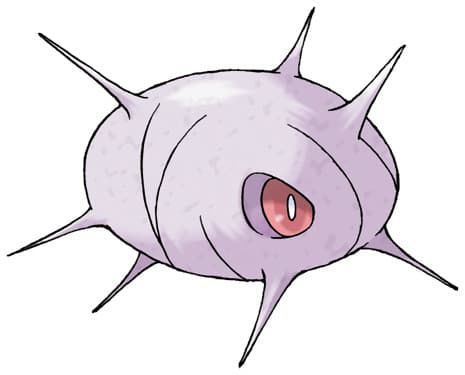 cascoon