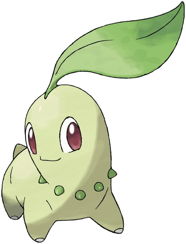 chikorita