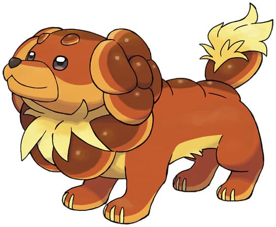 dachsbun