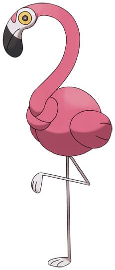 flamigo
