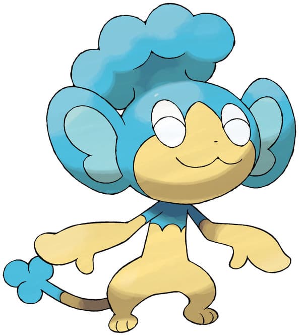 panpour