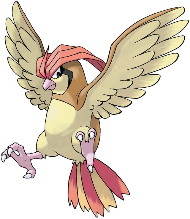 pidgeotto