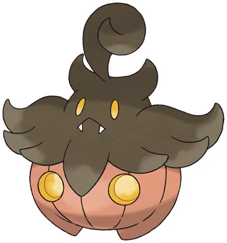 pumpkaboo-average