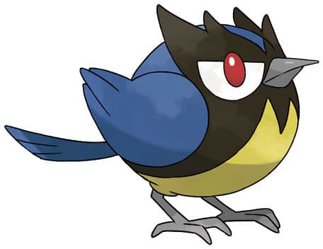 rookidee