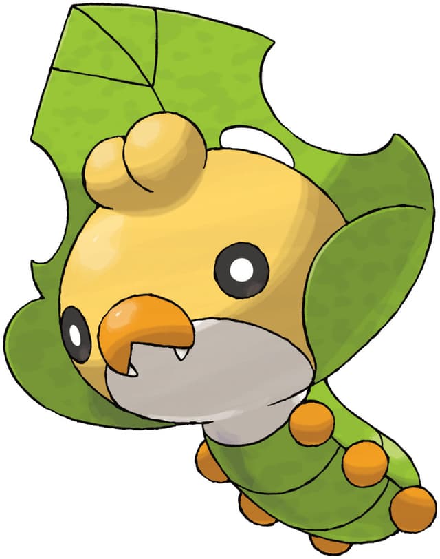 sewaddle