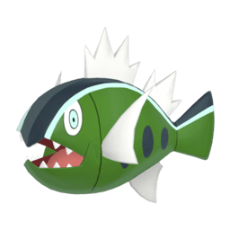 basculin-white-striped