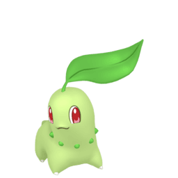 chikorita