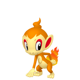 chimchar