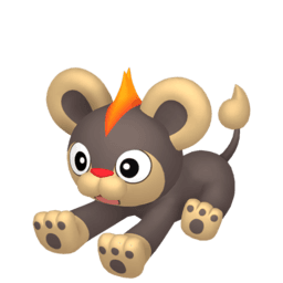 litleo