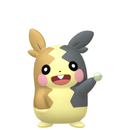 morpeko-full-belly