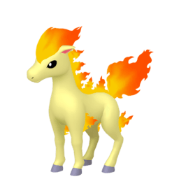 ponyta