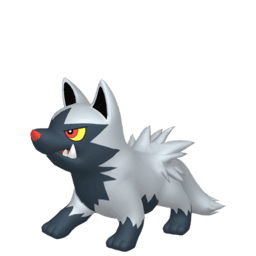 poochyena