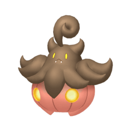 pumpkaboo-average