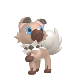 rockruff-own-tempo
