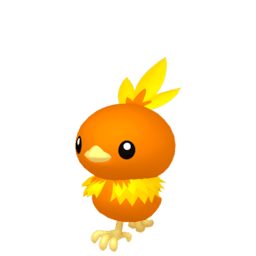 torchic