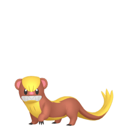 yungoos